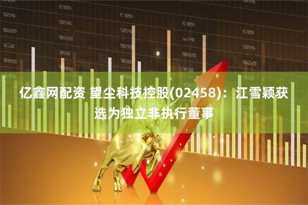 亿鑫网配资 望尘科技控股(02458)：江雪颖获选为独立非执行董事
