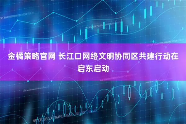 金橘策略官网 长江口网络文明协同区共建行动在启东启动